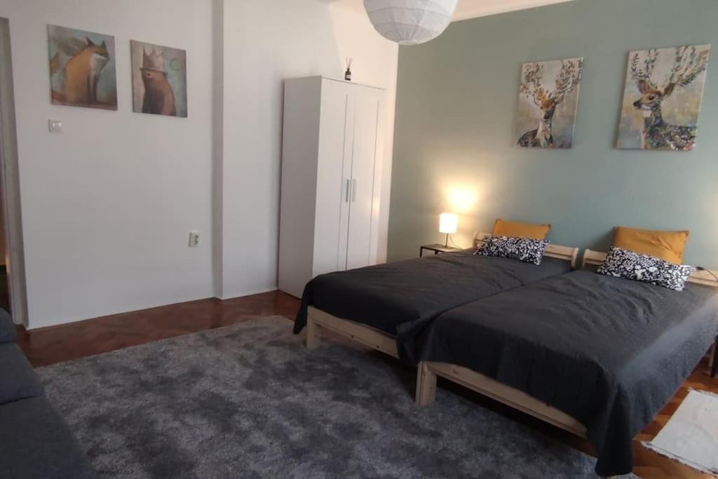 Tornyai Apartman Hodmezovasarhely Bagian luar foto