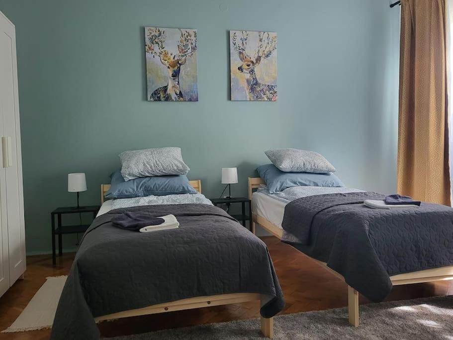 Tornyai Apartman Hodmezovasarhely Bagian luar foto